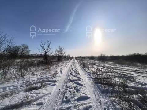 Участок в Волгоградская область, Краснослободск Среднеахтубинский ...