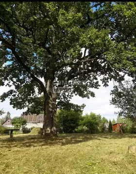 Участок в Калужская область, Перемышльский район, Большие Козлы с/пос, ...