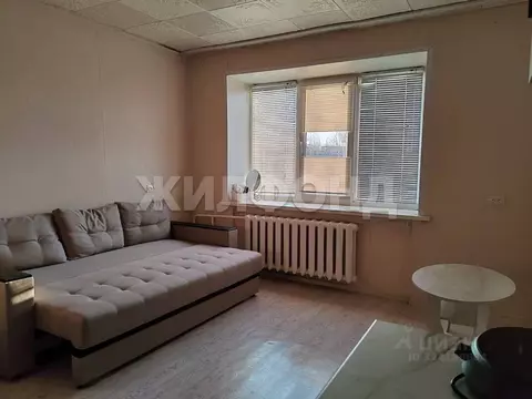 1-к кв. Новосибирская область, Новосибирск Затулинский жилмассив, ул. ...