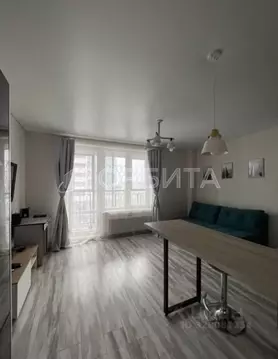 Студия Тюменская область, Тюмень ул. Николая Никитина, 4 (26.0 м)