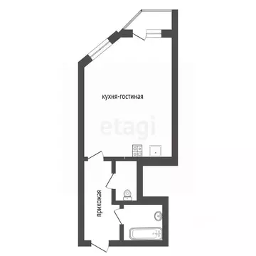 Студия Воронежская область, Воронеж Ростовская ул., 73Дк2 (24.43 м)
