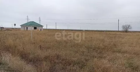 Участок в Ростовская область, Аксайский район, Ольгинское с/пос, ...