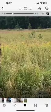 Участок в Московская область, Раменский муниципальный округ, Шевлягино ...