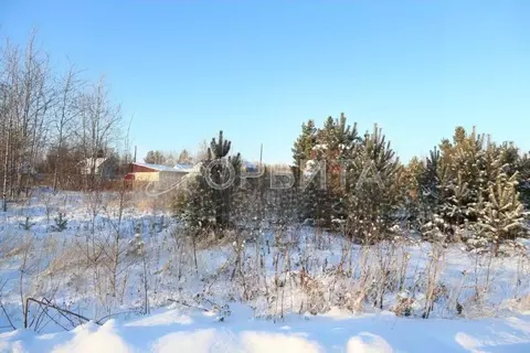 Участок в Тюменская область, Тюменский муниципальный округ, Нива СНТ ...