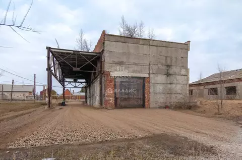 Помещение свободного назначения в Челябинская область, с. Кизильское ...