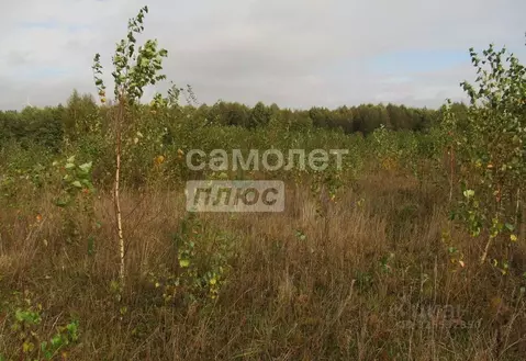 Участок в Челябинская область, Сосновский муниципальный округ, д. ...