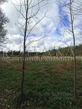 Участок в Ленинградская область, Выборгский район, Светогорское ...