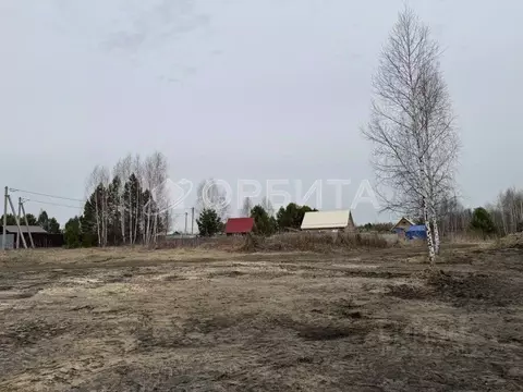 Участок в Тюменская область, Тюмень Садовое товарищество Липовый ...