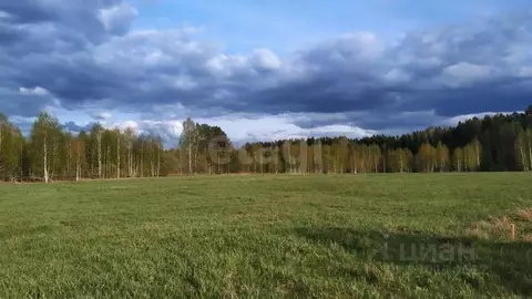 Участок в Тюменская область, Нижнетавдинский муниципальный округ, ...