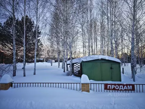 Участок в Новосибирская область, Коченевский район, Витязь садовое ...