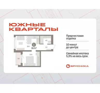 1-к кв. Свердловская область, Екатеринбург пер. Торфяной, 4 (39.0 м)