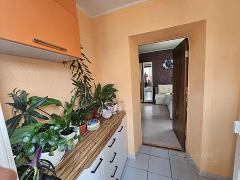 2-к кв. Краснодарский край, Сочи Донская мкр, ул. Пасечная, 6 (48.0 м)