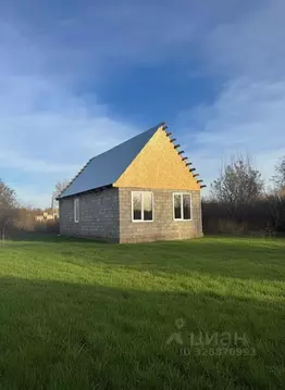Дом в Оренбургская область, Оренбург Березка СНТ, ул. Зеленая, 1 (60 ...