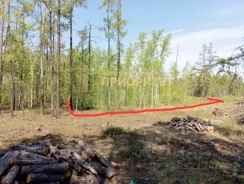 Участок в Саха (Якутия), Мегино-Кангаласский улус, Нижний Бестях пгт  ...