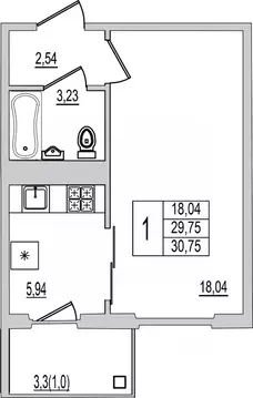 1-к кв. Псковская область, Псков Рижский просп., 94Г (30.75 м)