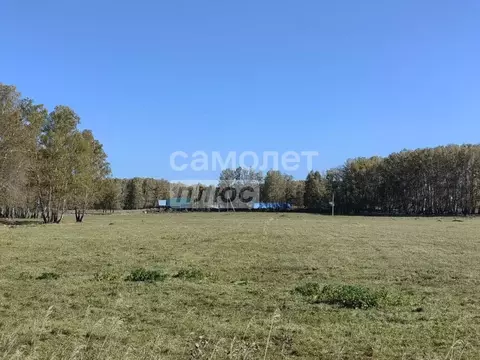 Участок в Челябинская область, Аргаяшский муниципальный округ, ...