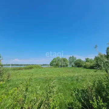 Участок в Ярославская область, Некрасовское с/пос, с. Новодашково  ...