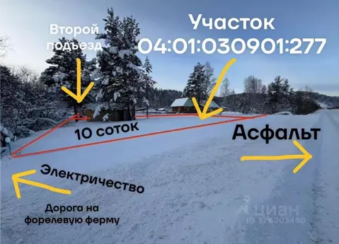 Участок в Алтай, Майминский район, Поселок филиал ул. А.Н. Муратова, ...