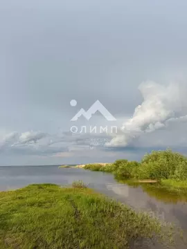 Участок в Вологодская область, д. Новое (Борисовский сельсовет)  (30.0 ...