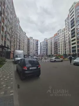 Студия Воронежская область, Воронеж ул. Саврасова, 86 (20.4 м)