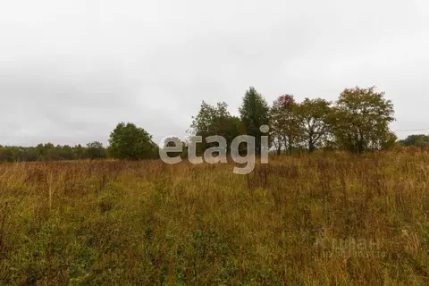 Участок в Вологодская область, Кириллов  (18.2 сот.)