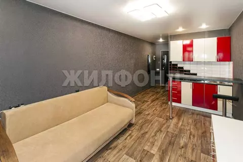 Студия Алтайский край, Барнаул Песчаная ул., 19 (24.5 м)