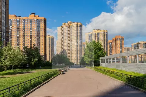 Помещение свободного назначения в Санкт-Петербург пос. Парголово, ул. ...
