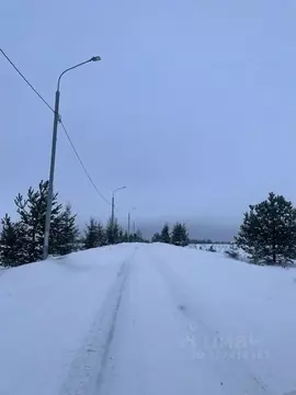 Участок в Московская область, Клин городской округ, Селинские Дачи ДНП ...