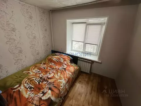 Студия Нижегородская область, Нижний Новгород Щербинки жилрайон, ...