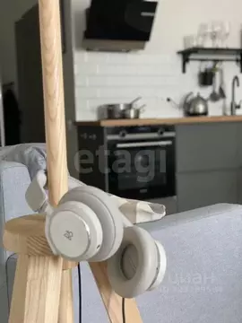 Студия Новосибирская область, Новосибирск ул. Гоголя, 40/1 (33.0 м)