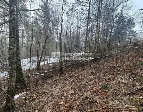 Участок в Ленинградская область, Выборгский район, Первомайское с/пос, ...