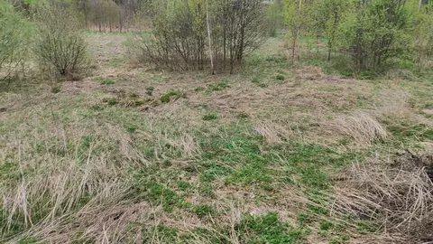 Участок в Московская область, Домодедово городской округ, д. Жуково ...