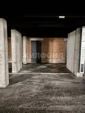 Гараж в Новосибирская область, Новосибирск ул. Семьи Шамшиных, 93 (18 ...