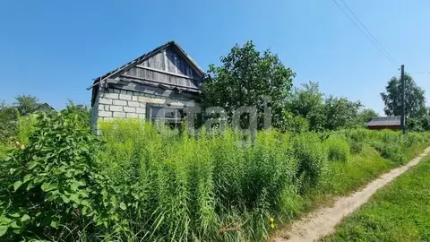 Дом в Брянская область, Брянский район, Чернетовское с/пос, Иволга-5 ...