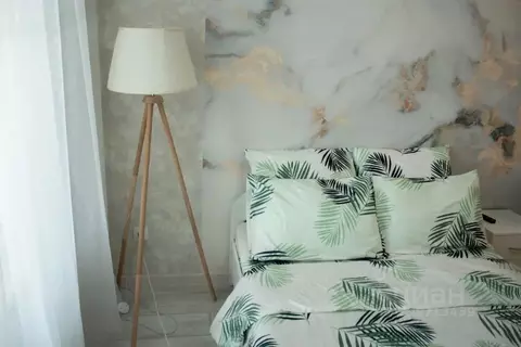 Студия Кировская область, Киров ул. Тимирязева, 7к1 (34.0 м)