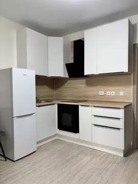 Студия Санкт-Петербург пос. Шушары, просп. Старорусский, 5к1 (21.5 м)