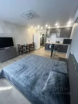 Студия Московская область, Звенигород Одинцовский городской округ, ...