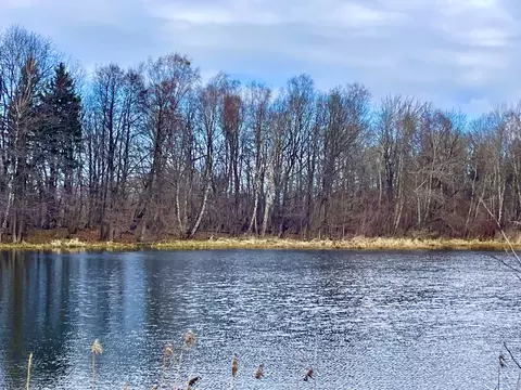 Участок в Калининградская область, Зеленоградский муниципальный округ, ...