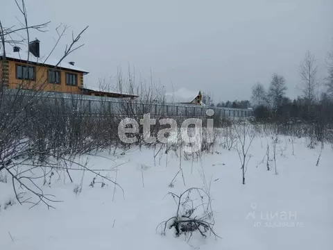 Участок в Курганская область, Шадринск ул. Фофанова (10.6 сот.)