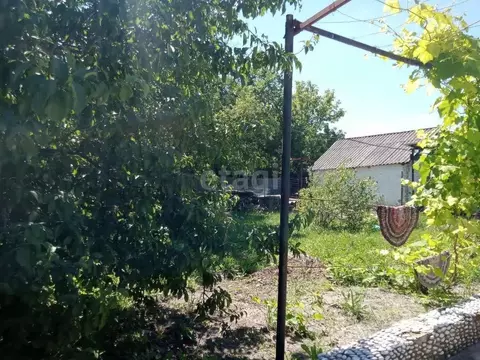 Дом в Белгородская область, Волоконовский район, Староивановское ...