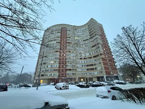 1-к кв. Московская область, Ногинск Богородский городской округ, ул. ...