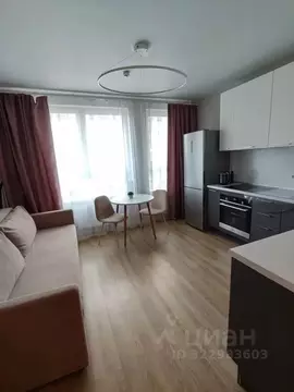 Студия Московская область, Домодедово городской округ, с. Ям ул. ...