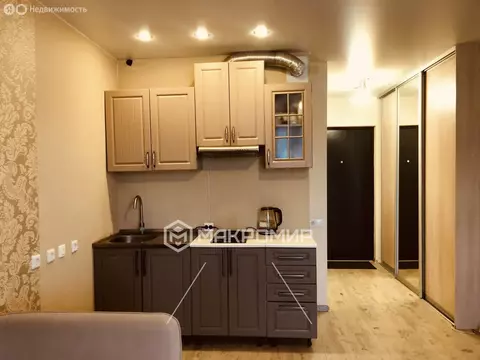 Квартира-студия: Пушкин, улица Архитектора Данини, 5 (27.2 м)