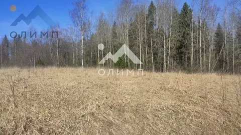 Участок в Вологодская область, с. Погорелово  (15.0 сот.)