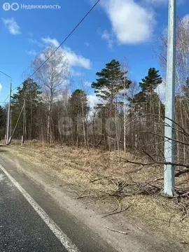 Участок в Томский район, посёлок Синий Утёс (15 м)