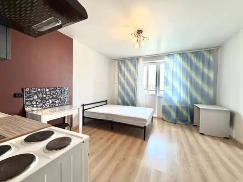 Студия Санкт-Петербург просп. Королева, 57к1 (25.4 м)