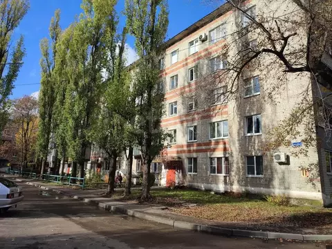 2-к кв. Воронежская область, Воронеж ул. Любы Шевцовой, 11 (44.0 м)