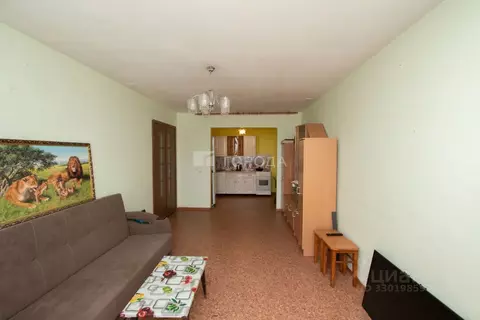Студия Кемеровская область, Калтан Комсомольская ул., 83 (34.9 м)