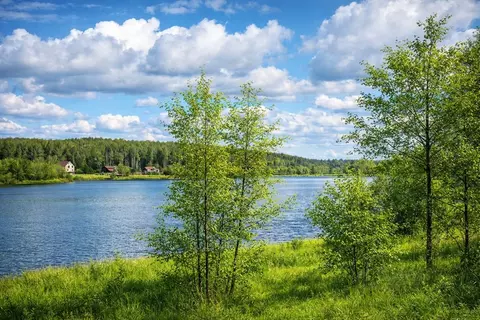 Участок в Московская область, Чехов муниципальный округ, д. ...