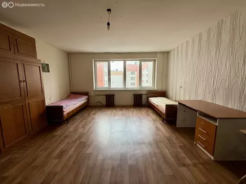 3-комнатная квартира: Красное Село, улица Спирина, 5к1 (80.8 м)